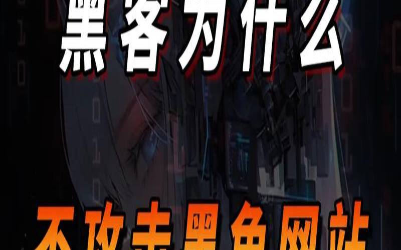 黑客为什么要攻击网站（为什么服务器会被攻击）