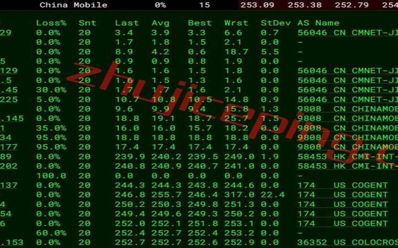 VPS荷兰阿姆斯特丹存储型VPS测评分享（荷兰阿姆斯特丹网站）
