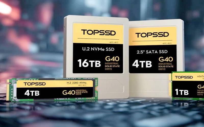 ChangeIP终身八折／洛杉矶鲨鱼机房／1核256M内存／5G（SSD硬盘／不限流量／100M带宽／KVM／DDoS防御／19）