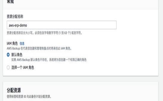 如何使用AWS进行数据备份