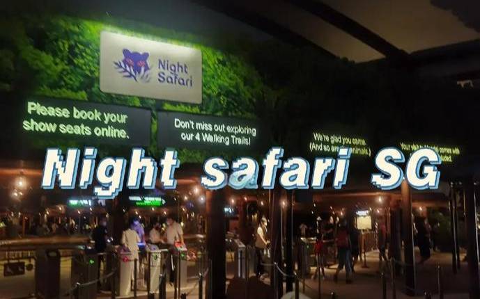 IndoVirtue新加坡1核512M／SGGS线路／三网直连／七折／7美元／月