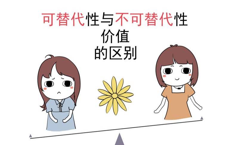 什么是不可替代价值