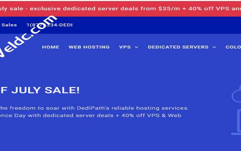 DediPath新年促销（美国德国服务器）