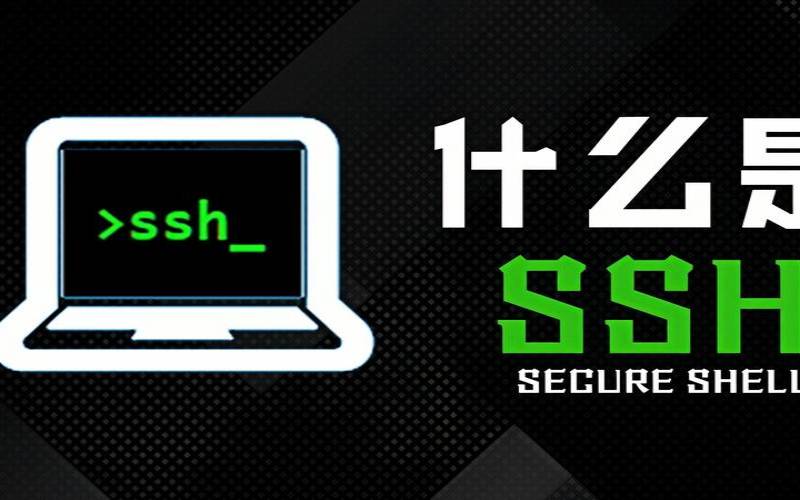 Linux系统都是用SSH登录吗（linux都是用命令吗）