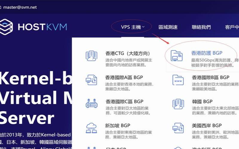 高防ip贵在哪里（高防vps哪里的比较便宜）