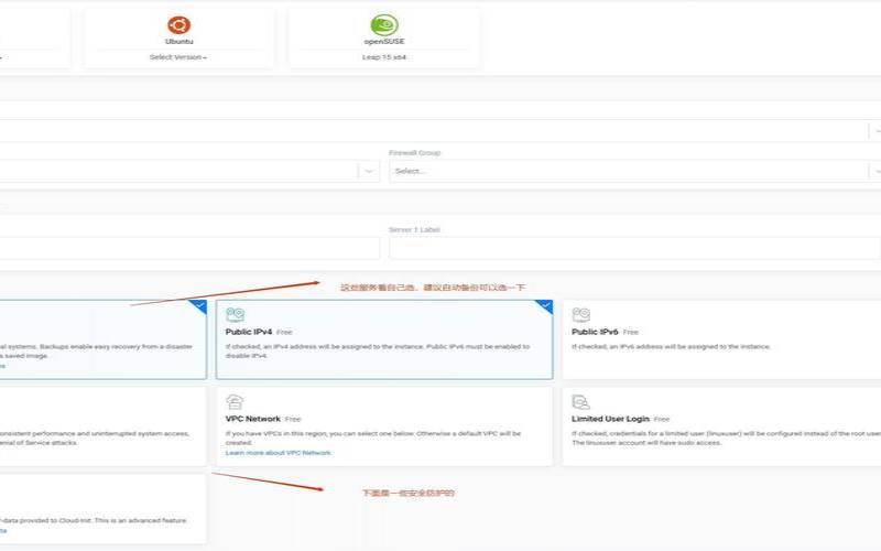 Vultr服务器连不上解决办法（vultr服务器选择）