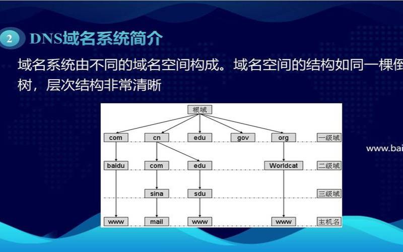 DNS服务器有哪四种不同的类型（dns的服务器类型有哪些）