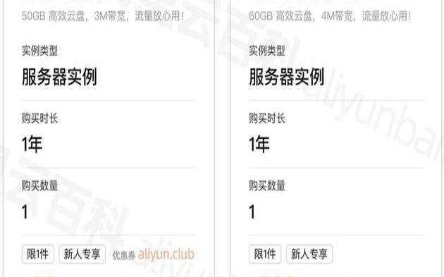 为什么要租服务器跑代码（服务器租用多少钱一年）