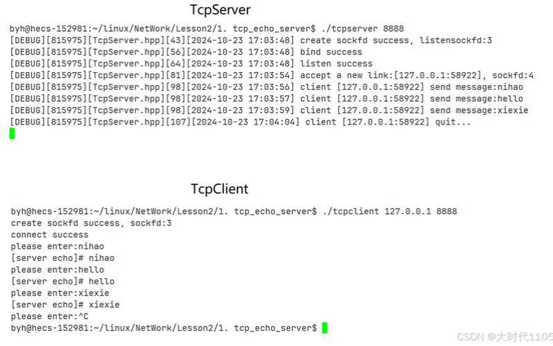 Linux创建socket失败（linux搭建sock）
