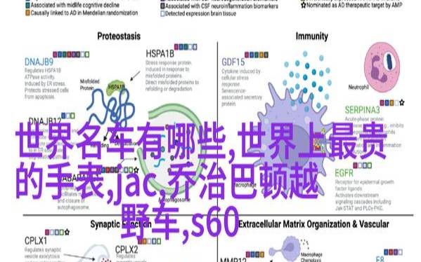 301重定向是什么（301重定向的作用是什么）