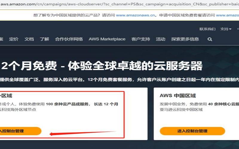 海外云服务器如何应对大规模流量访问（海外云服务器）