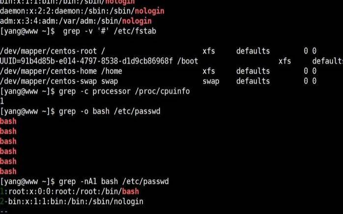 Linux管道命令的深度解析与实用教程（linux中管道的作用是什么）