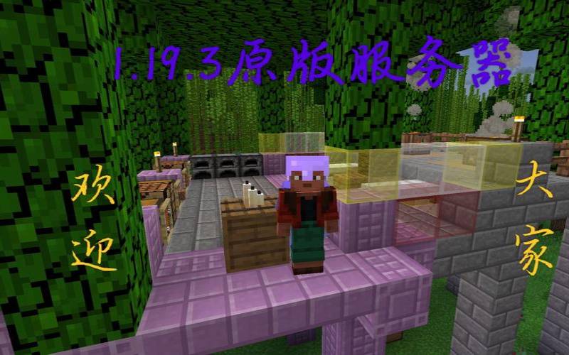 mc服务器箱子上锁（mc服务器箱子解锁）