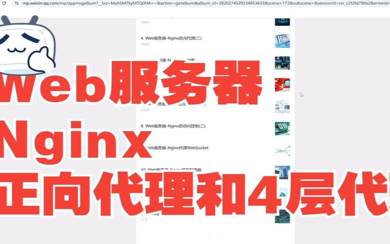nginx代理socket（nginx代理服务器）