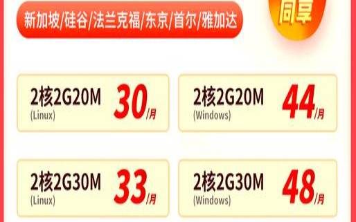 应该选择国内还是国外的云服务器（国外云服务器哪个好）