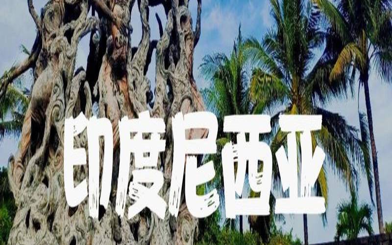 印度尼西亚中国手机能用吗