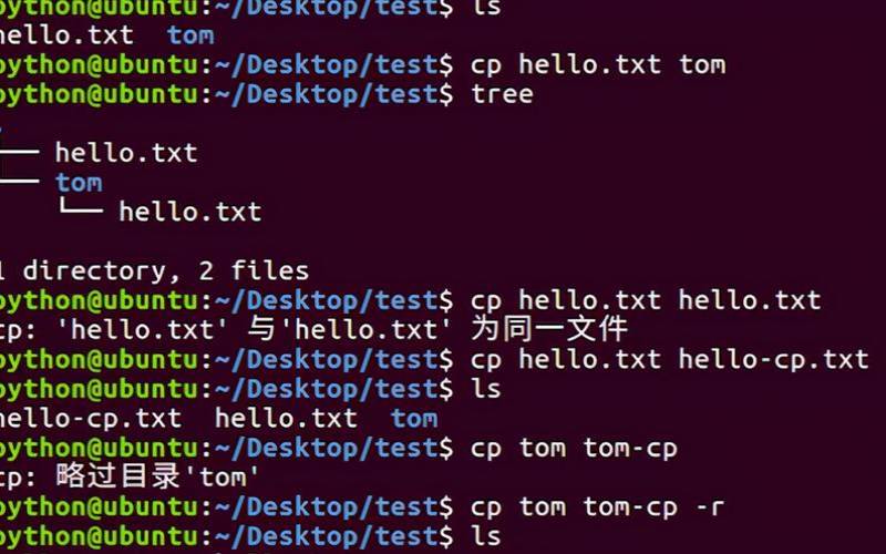 Linuxcp命令实战详解（linuxcp命令复制目录）