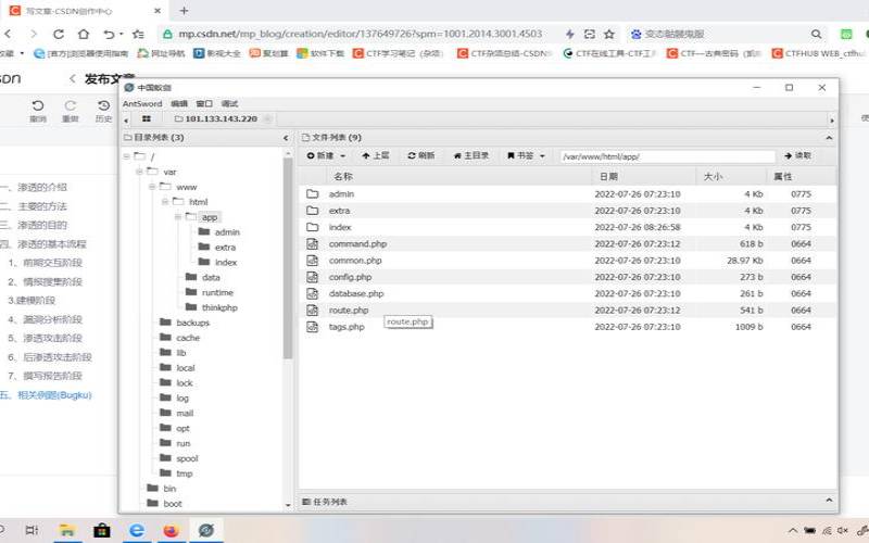 服务器渗透分析（服务器渗透分析报告）