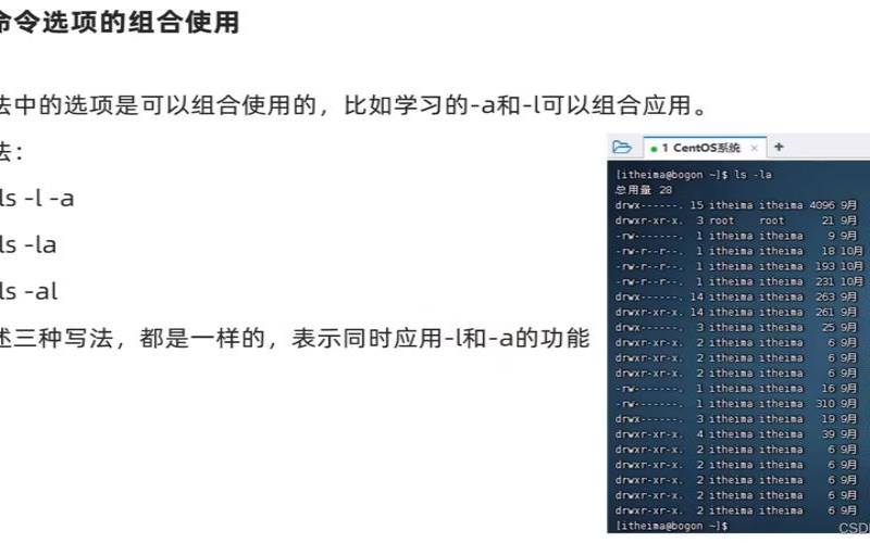 Linuxls命令详解（linux使用ls查看目录属性）
