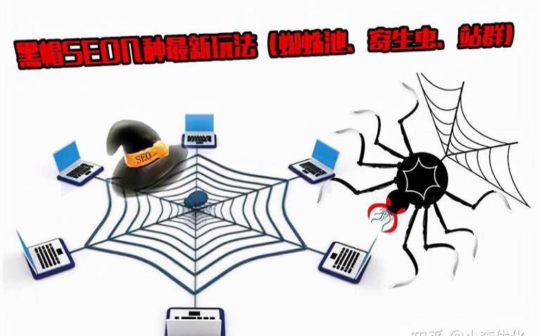 什么是蜘蛛池（蜘蛛池对网站有啥影响）