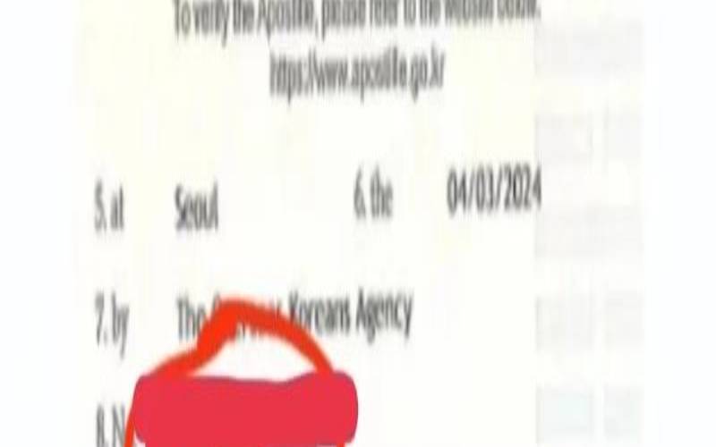 韩国正式文件用中文