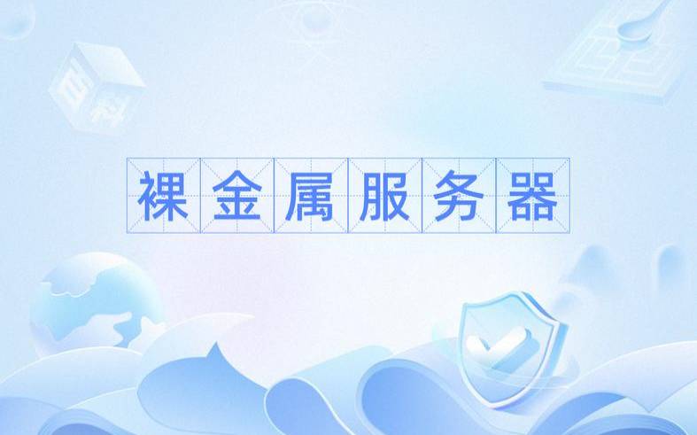 裸金属服务器（裸金属容器什么原理）