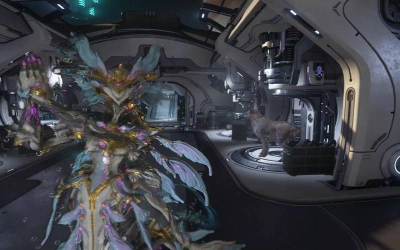 DMIT夏日促销和瓦工限定版对比（warframe大包能用折扣买吗）