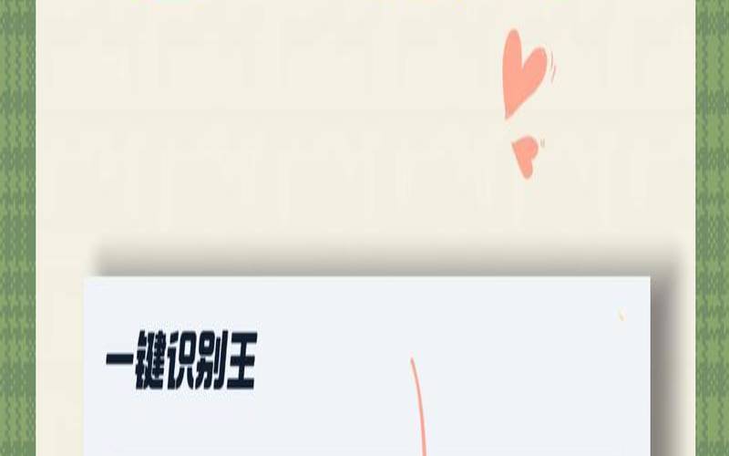 离线图文识别软件（图片识别文字）