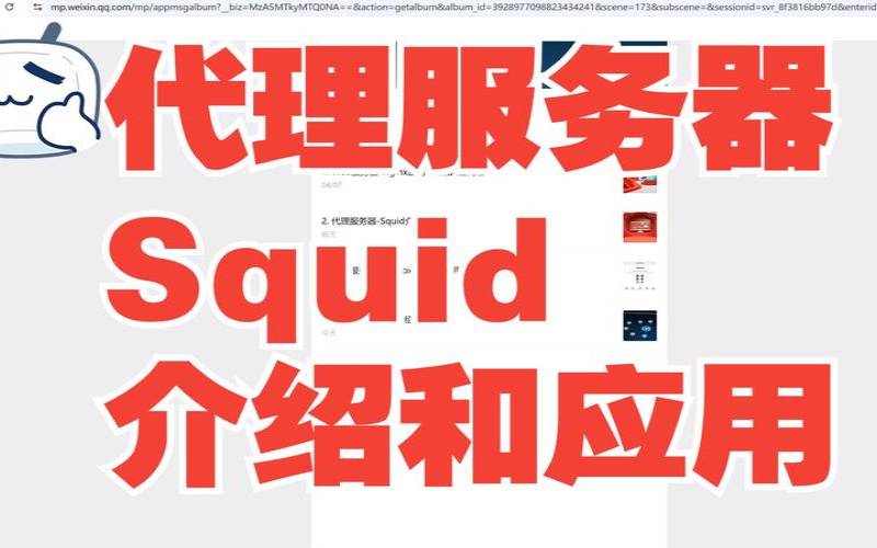 访问国外网站代理服务器