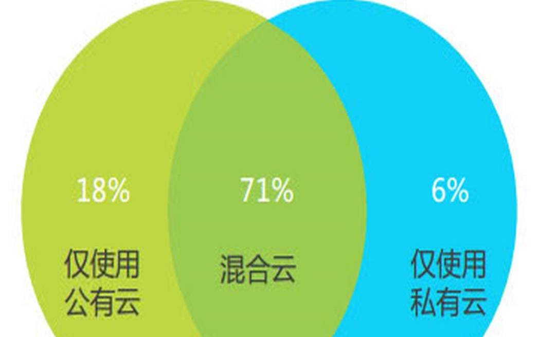 选择云策略时有哪些部署选项（云计算私有云）
