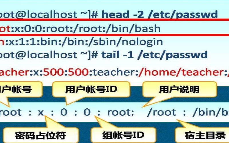 linux显示自己的用户信息