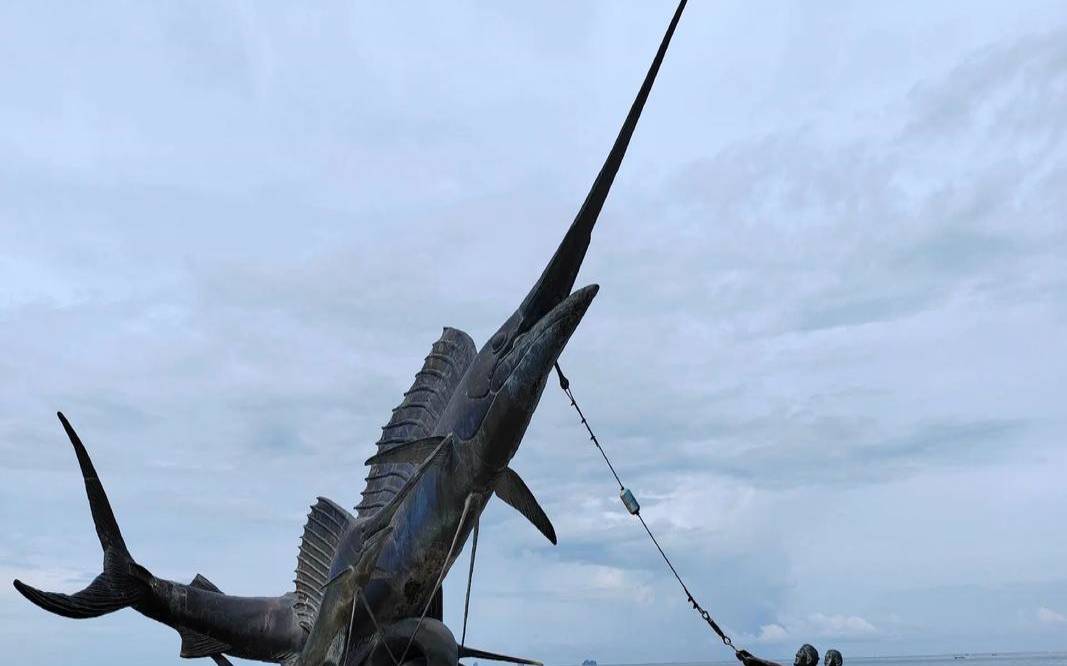 旗鱼云梯（旗鱼云梯免费吗）