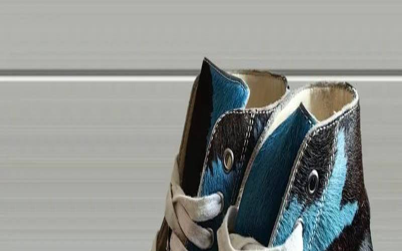 visvim美国官网（vinix和万艾可哪个好）