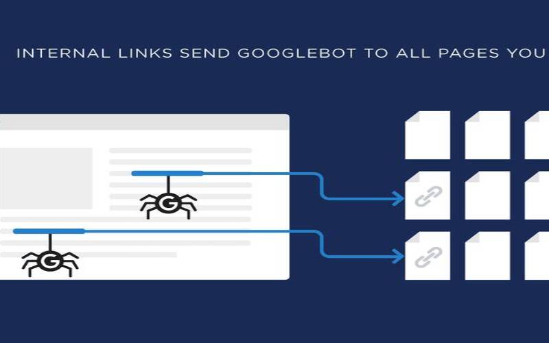 什么是抓取预算（抓取率是什么意思）
