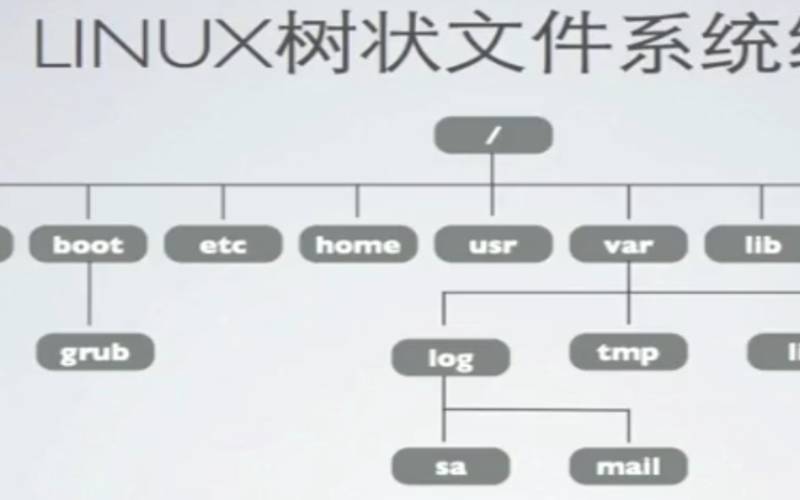 理解Linux文件系统树的完整指南（简述linux文件系统结构）