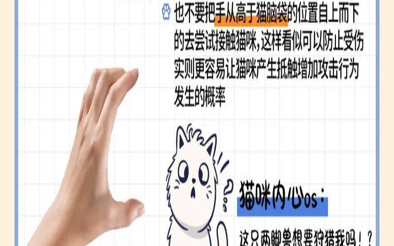 防止被揍的方法（防止被揍的方法是什么）