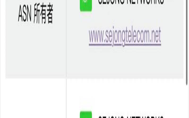 HostYun香港KVMVPS香港原生IP/广播IP,三网直连50M100M端口 HostYun香港KVMVPS香港原生IP/广播IP,三网直连50M100M端口