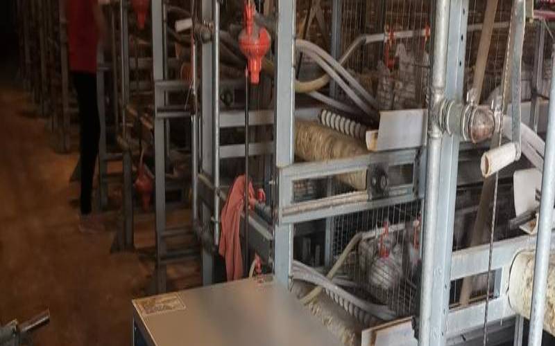 网友福音,服务器租用行业的真实感受 网友福音,服务器租用行业的真实感受