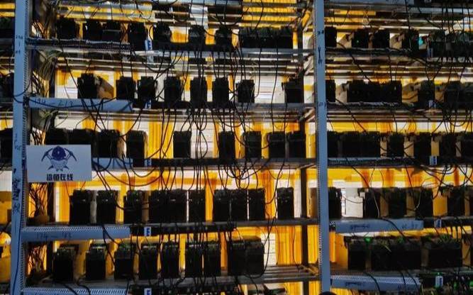 BergenHosting新西伯利亚/洛杉矶鲨鱼机房/1核512M/100M带宽/KVM/40Gbps DDoS/10美元/年 1核1G/200G硬盘/4美元/月 BergenHosting新西伯利亚/洛杉矶鲨鱼机房/1核512M/100M带宽/KVM/40Gbps DDoS/10美元/年 1核1G/200G硬盘/4美元/月