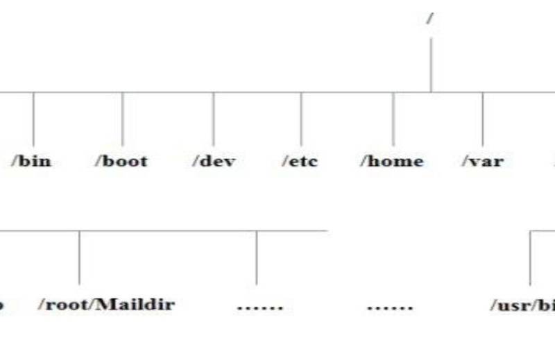什么是Linux中间件（linux查中间件的命令）