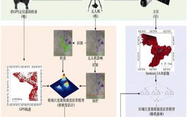 网络遥测–IT主管指南（网络遥测技术）