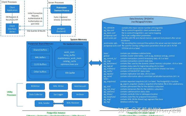 如何设置PostgreSQL数据库复制（plsql复制数据库）
