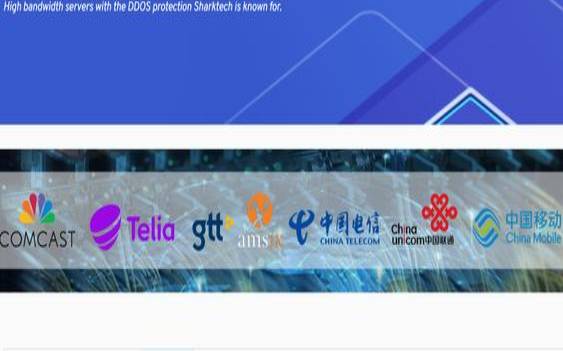 荷兰服务器购买攻略（荷兰独立服务器）