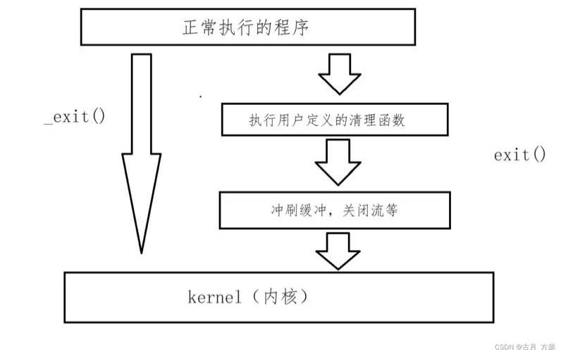 怎么用linux（linux退出终端仍运行进程）