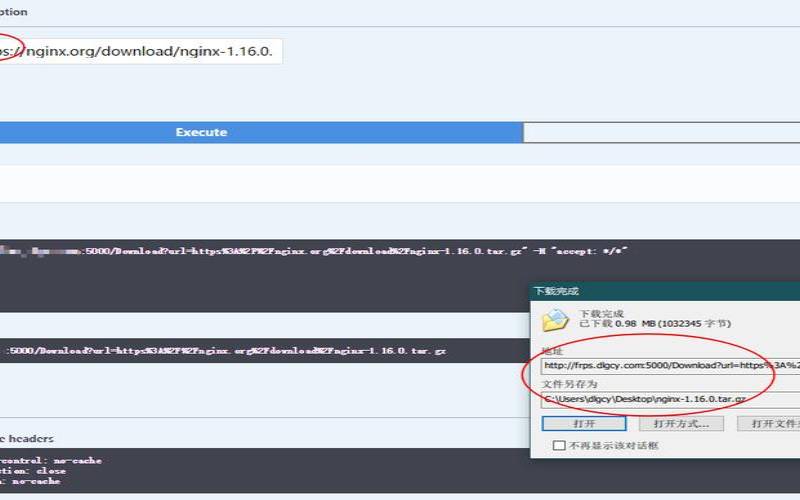 韩国kt服务器租用托管（vps试用3小时加速器）
