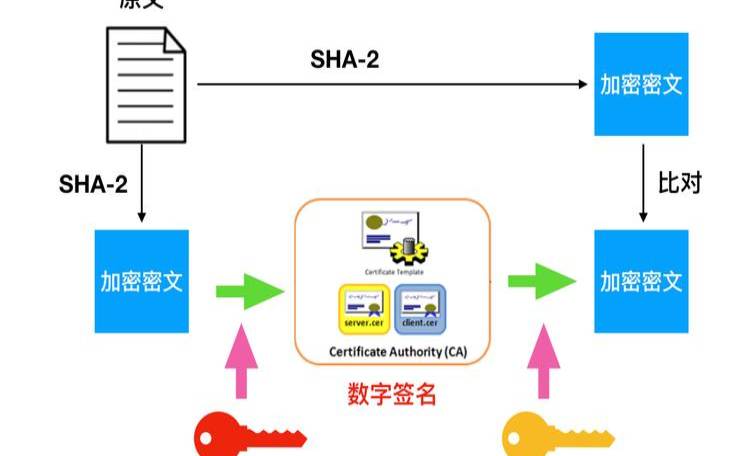 ZunTrust商用通配符SSL证书（每年300元打造安全加密环境）