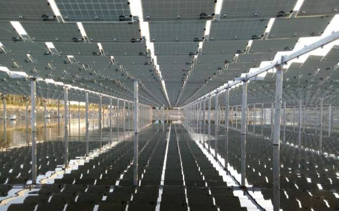 福州1核2G50G防御（福州荧光海滩在哪里）