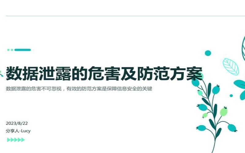 2023年防止第三方数据泄露的9种方法（防止数据泄露的措施）