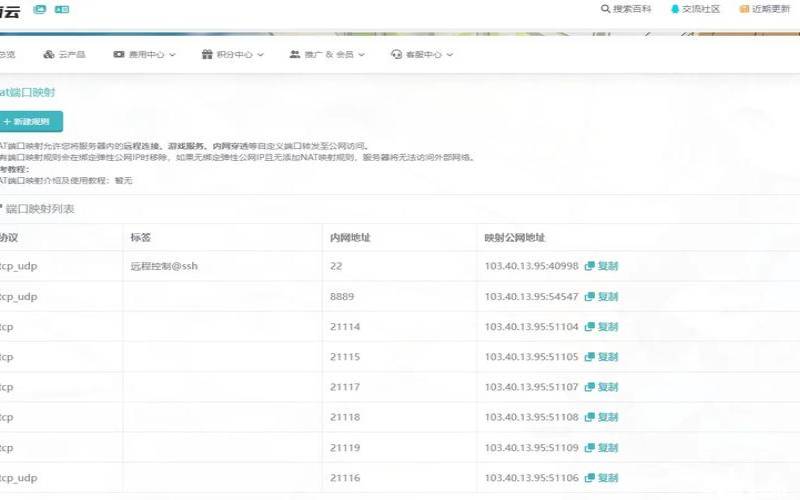 海外IP代理服务器如何搭建