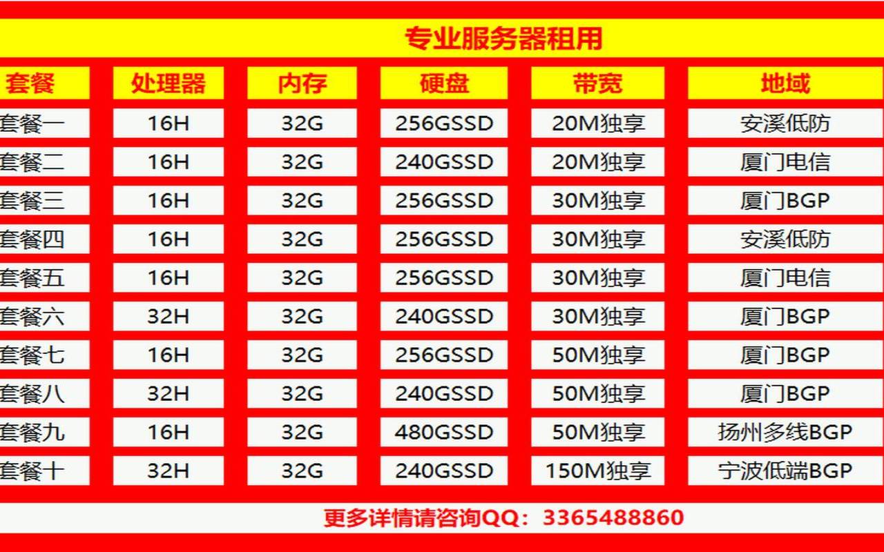 国内高防服务器租用（高防服务器多少钱一个月）
